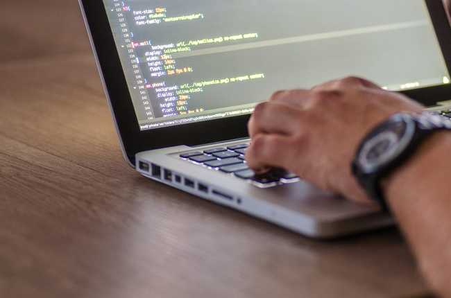 Developer Working DeveloperWorking