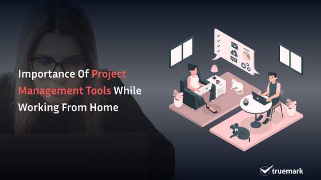 Importance of project management tools while working from home
