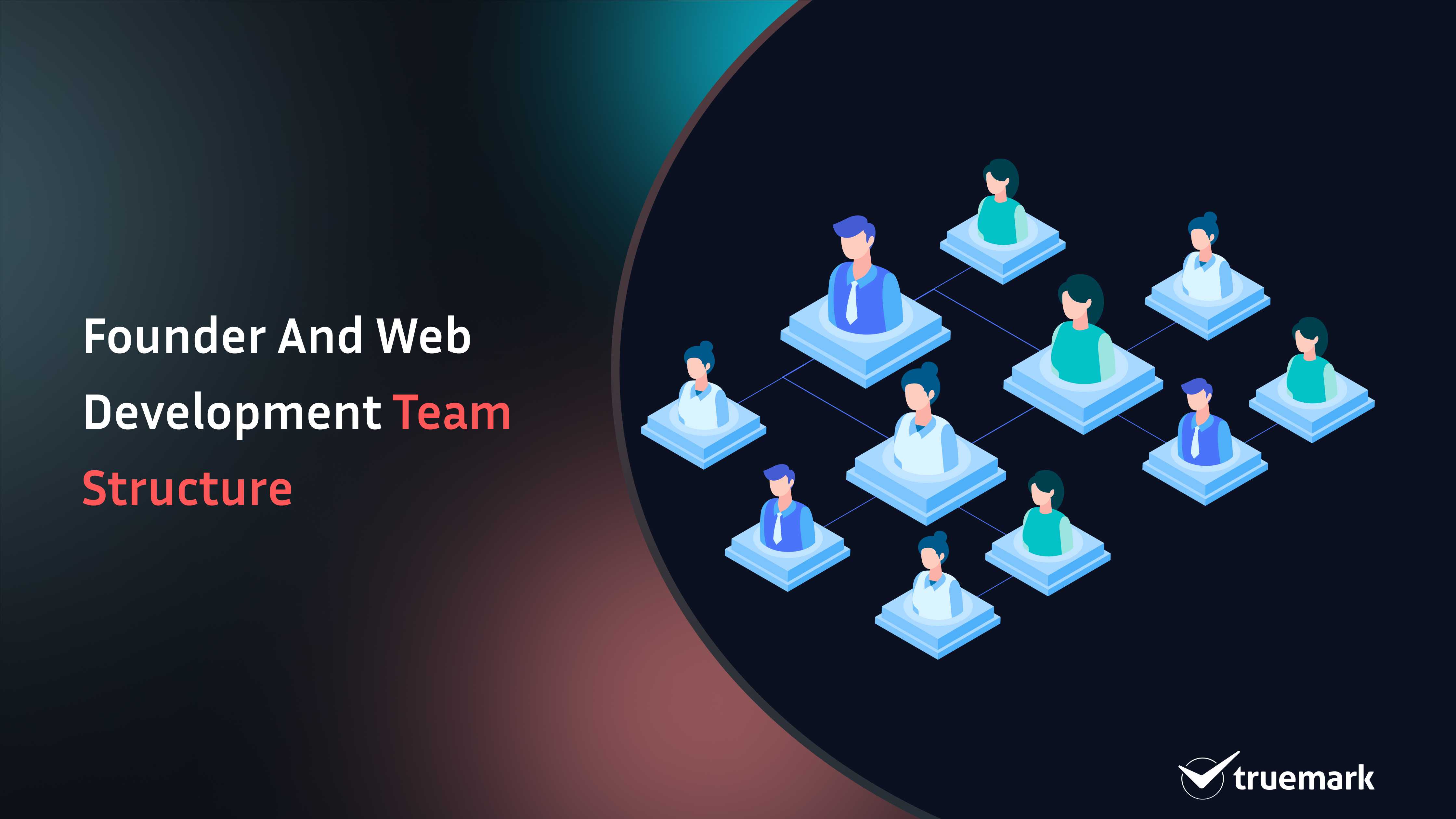 Founder and web development team structure