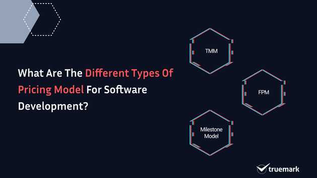 What are the different types of pricing model for software development?
